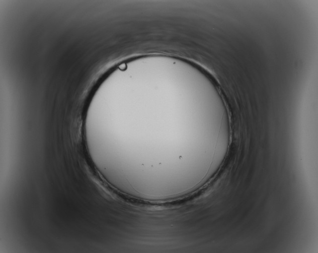 X0000086001507200704131754