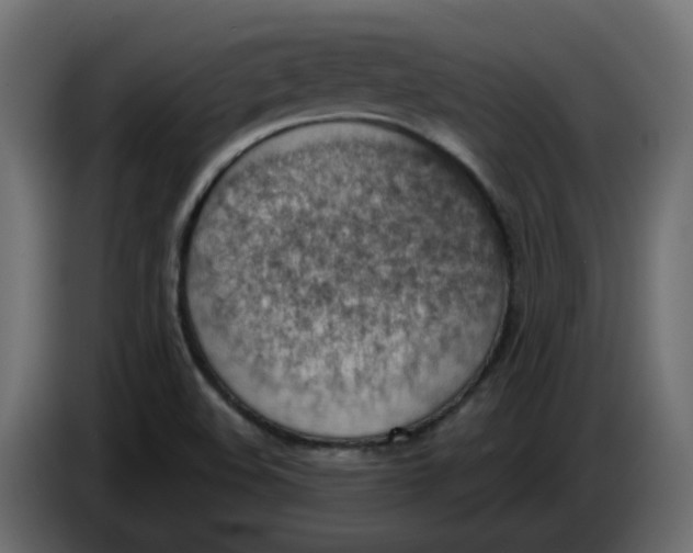 X0000086001508200704131754