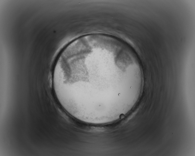 X0000086001509200704131754