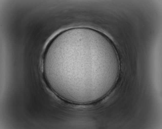 X0000086001510200704131754