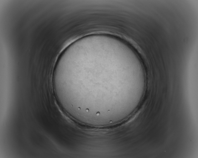 X0000086001513200704131754