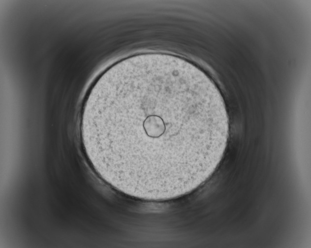 X0000086001514200704131754