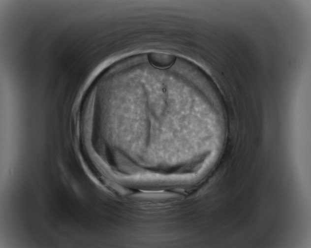 X0000086001515200704131754