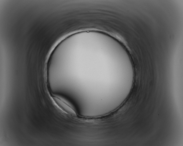 X0000086001516200704131754