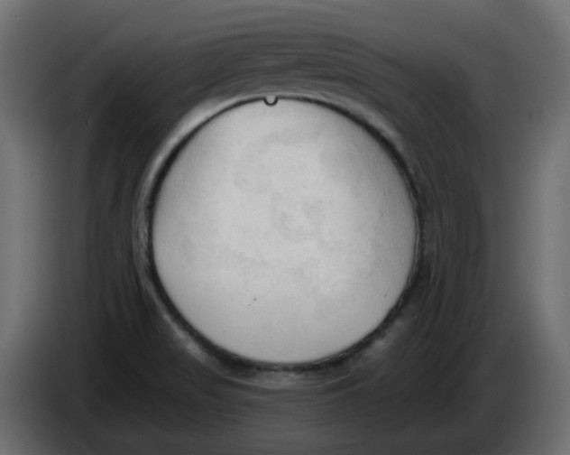 X0000086001517200704131754