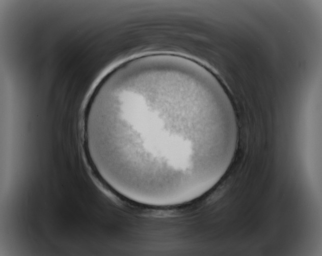 X0000086001519200704131754