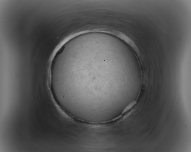 X0000086001520200704131754