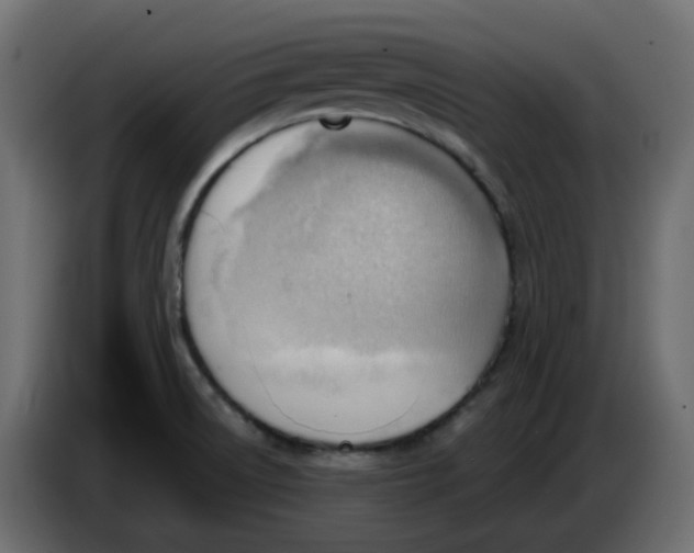 X0000086001522200704131754