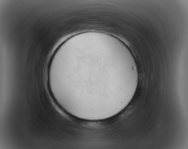 X0000086001523200704131754