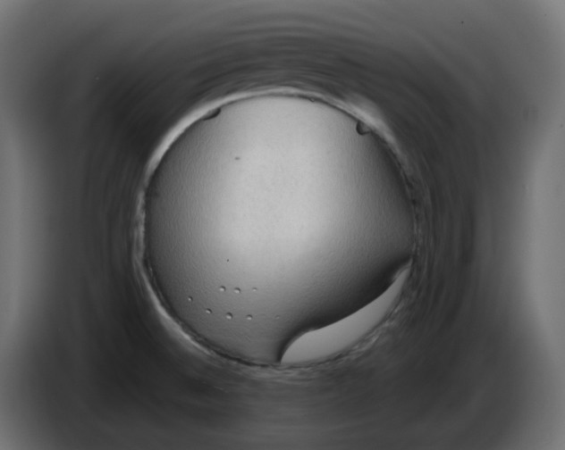 X0000086001524200704131754