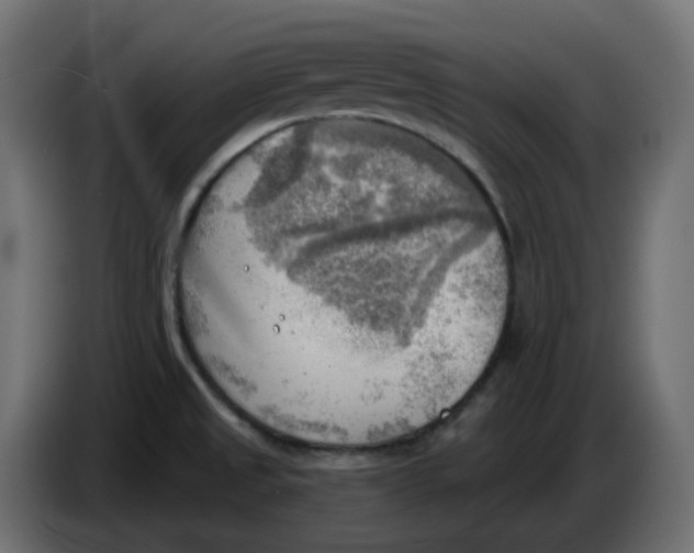 X0000086001525200704131754