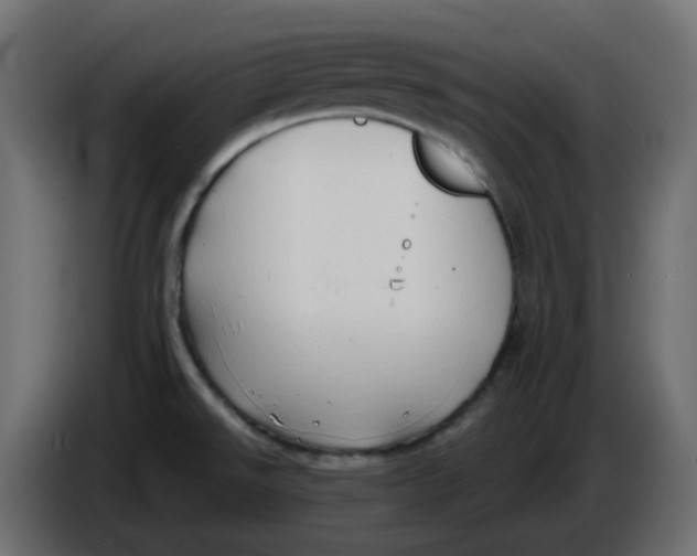 X0000086001526200704131754