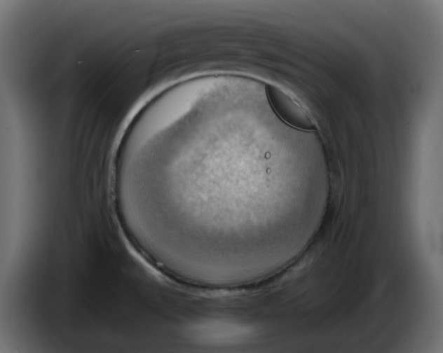 X0000086001527200704131754