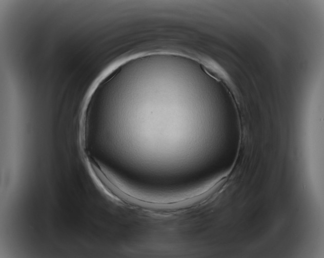 X0000086001528200704131754