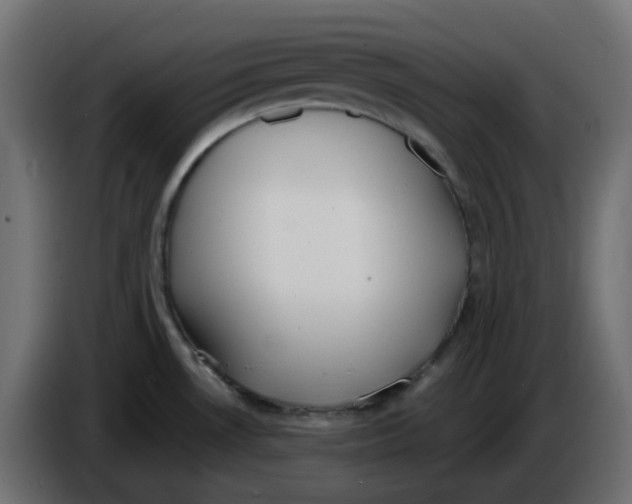 X0000086001530200704131754