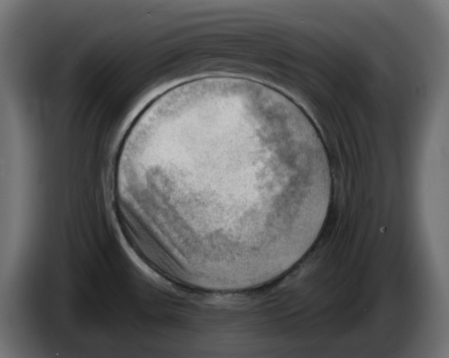 X0000086001531200704131754