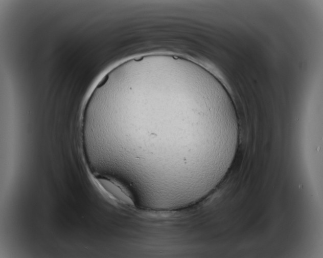 X0000086001532200704131754