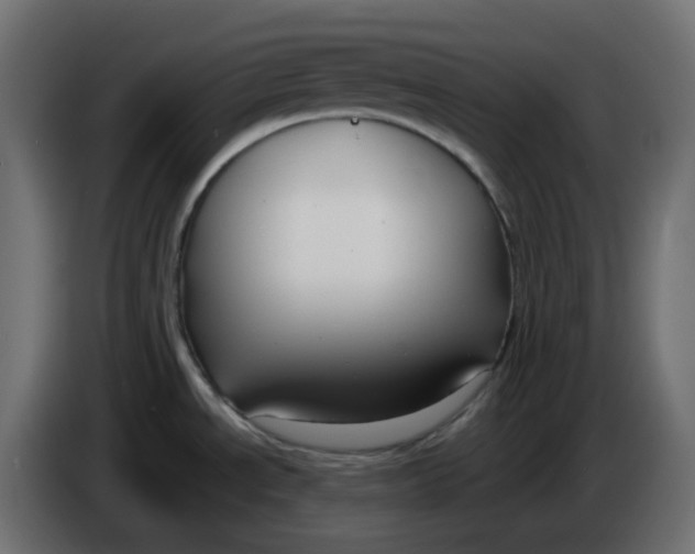 X0000086001534200704131754