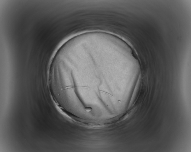 X0000086001535200704131754