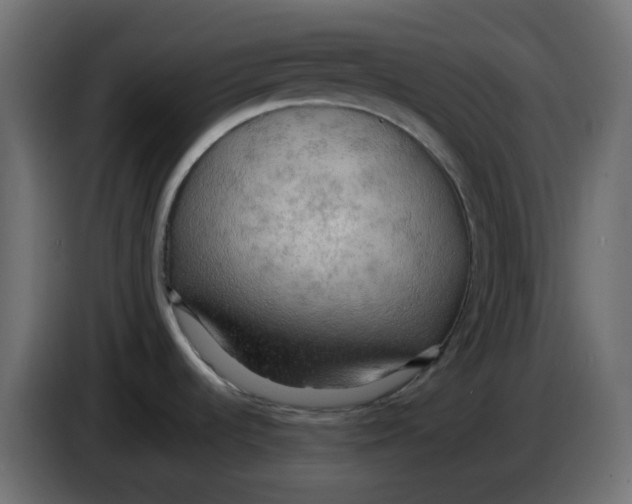 X0000086001536200704131754