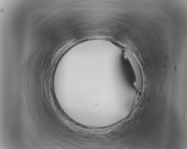 X0000086000001200704201843