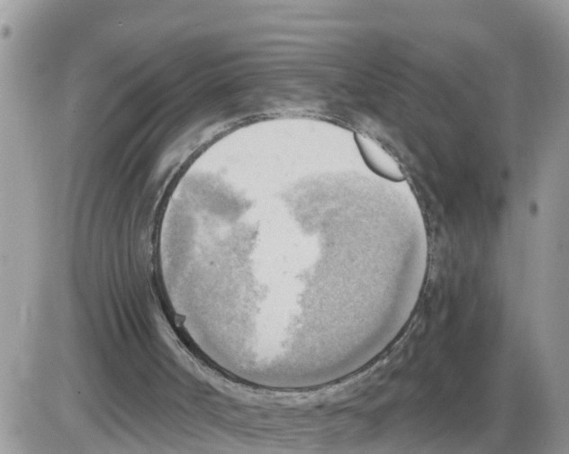 X0000086000002200704201843