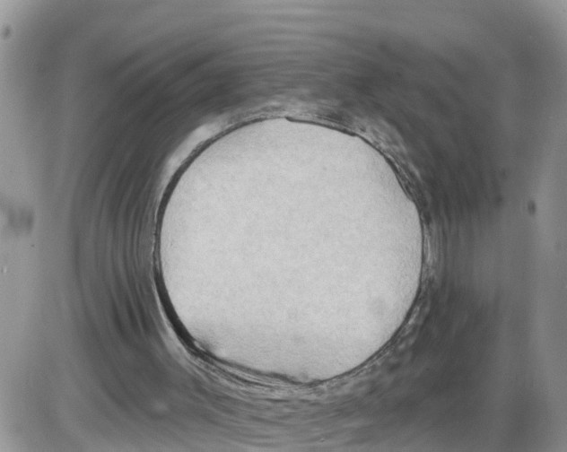 X0000086000003200704201843