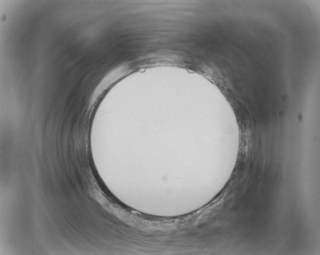 X0000086000004200704201843