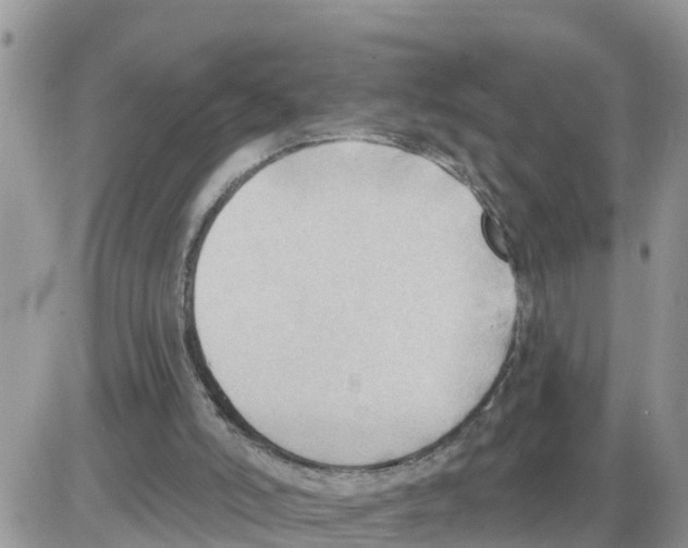 X0000086000006200704201843