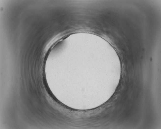 X0000086000007200704201843