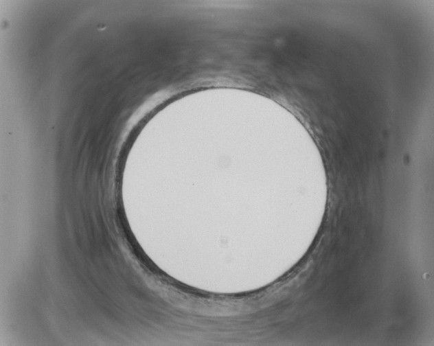 X0000086000008200704201843