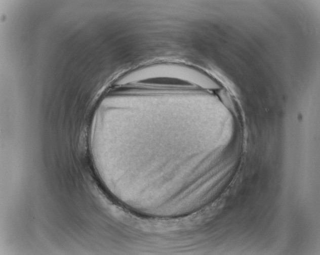 X0000086000009200704201843