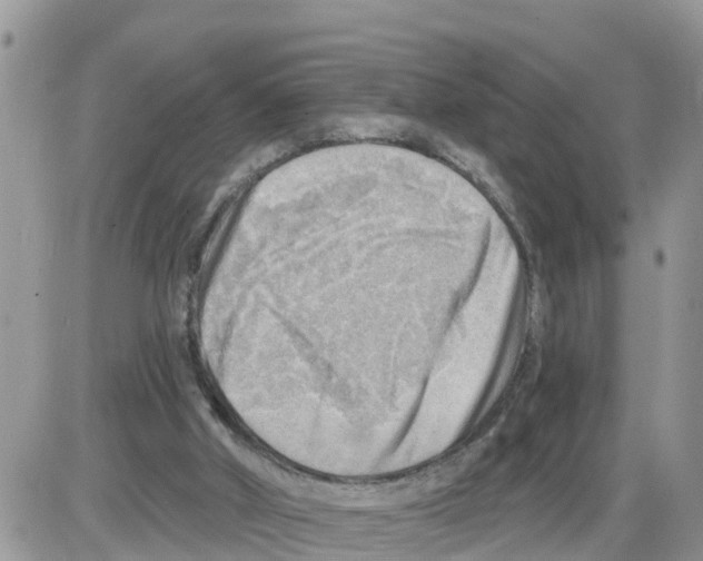 X0000086000010200704201843