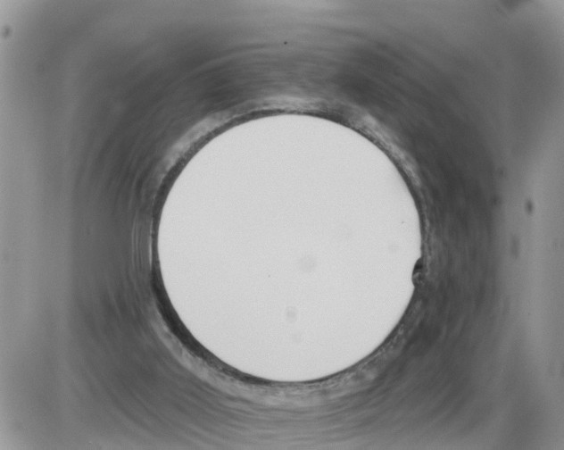 X0000086000011200704201843