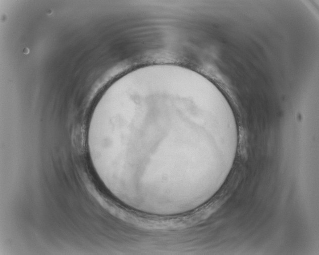 X0000086000012200704201843