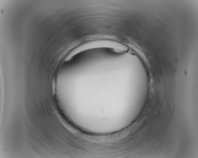 X0000086000013200704201843