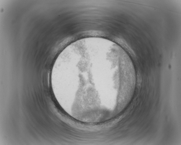 X0000086000014200704201843