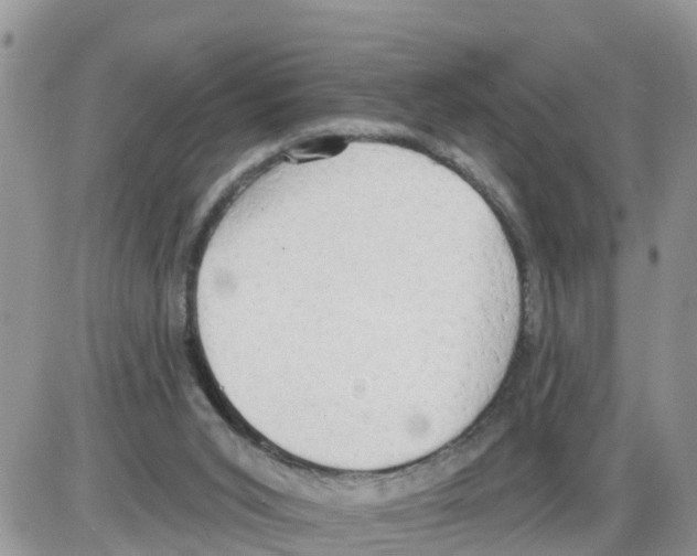 X0000086000015200704201843