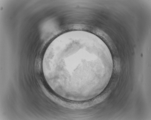 X0000086000016200704201843