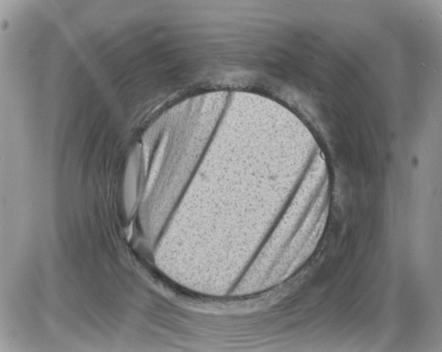 X0000086000017200704201843