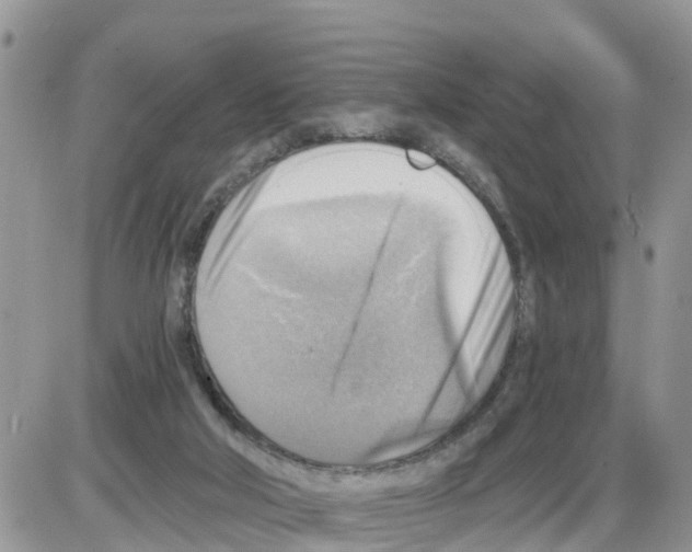 X0000086000018200704201843