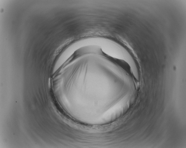 X0000086000019200704201843