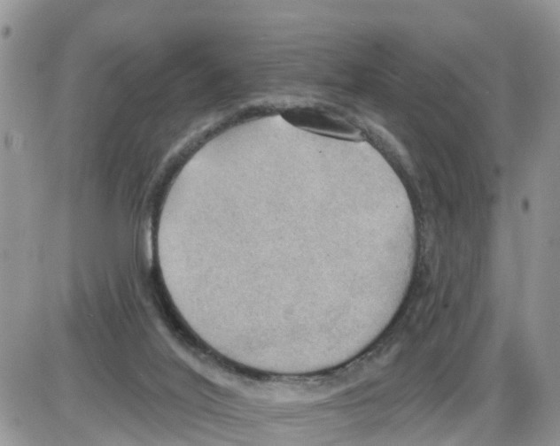 X0000086000020200704201843