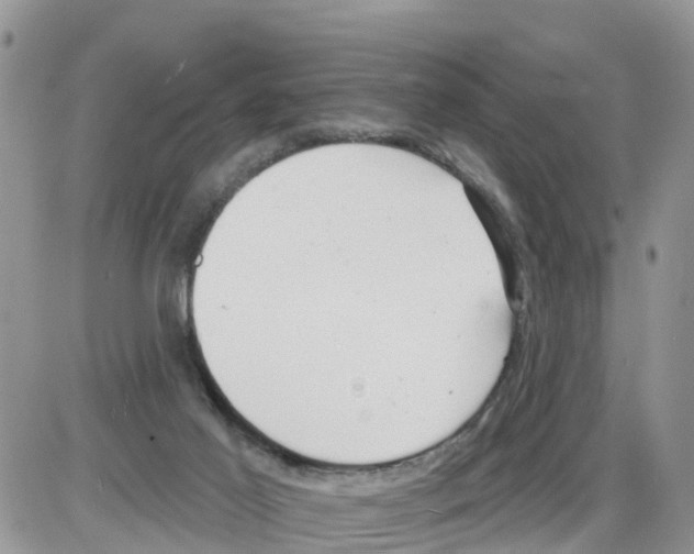 X0000086000021200704201842