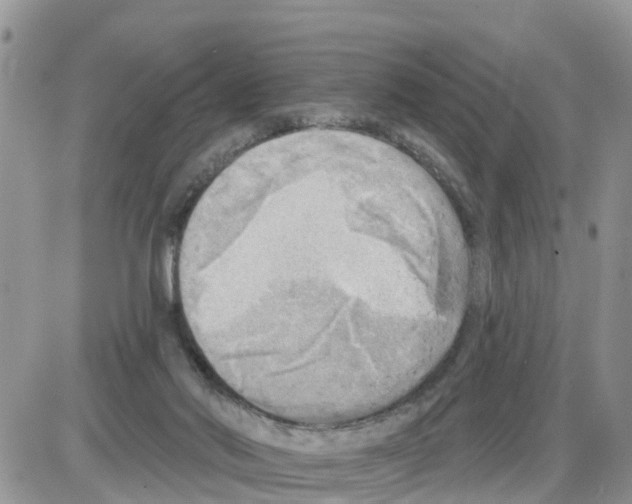 X0000086000022200704201842