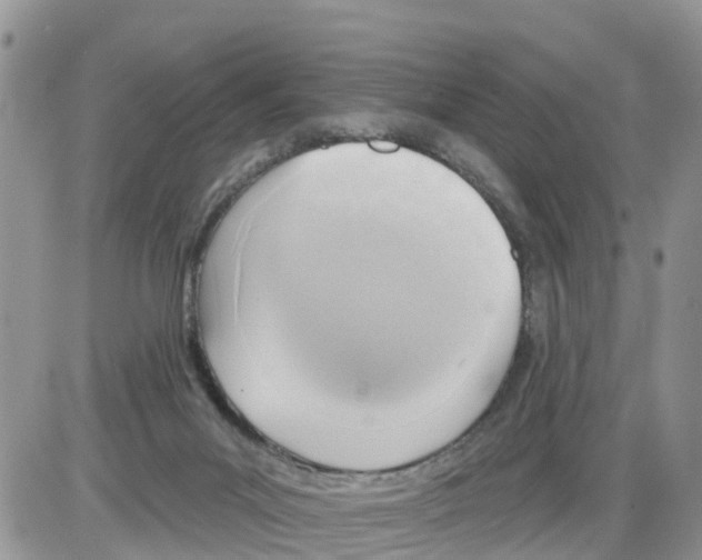 X0000086000023200704201842