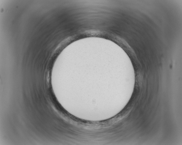 X0000086000024200704201842