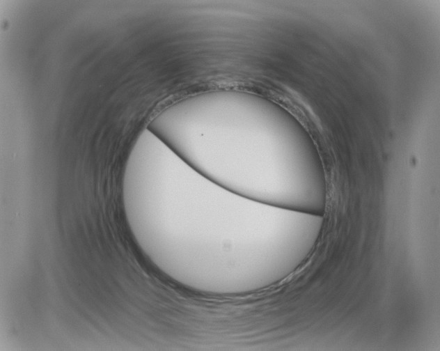 X0000086000025200704201842