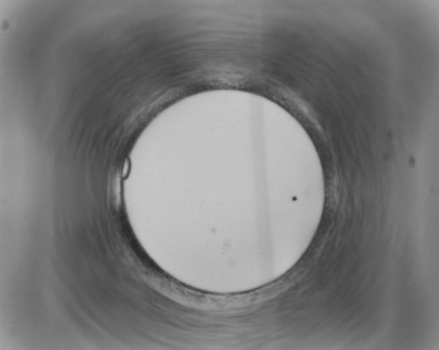 X0000086000027200704201842