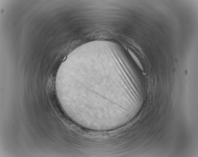 X0000086000029200704201842